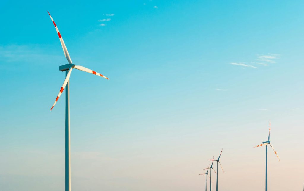 Transformación organizacional hacia la sostenibilidad