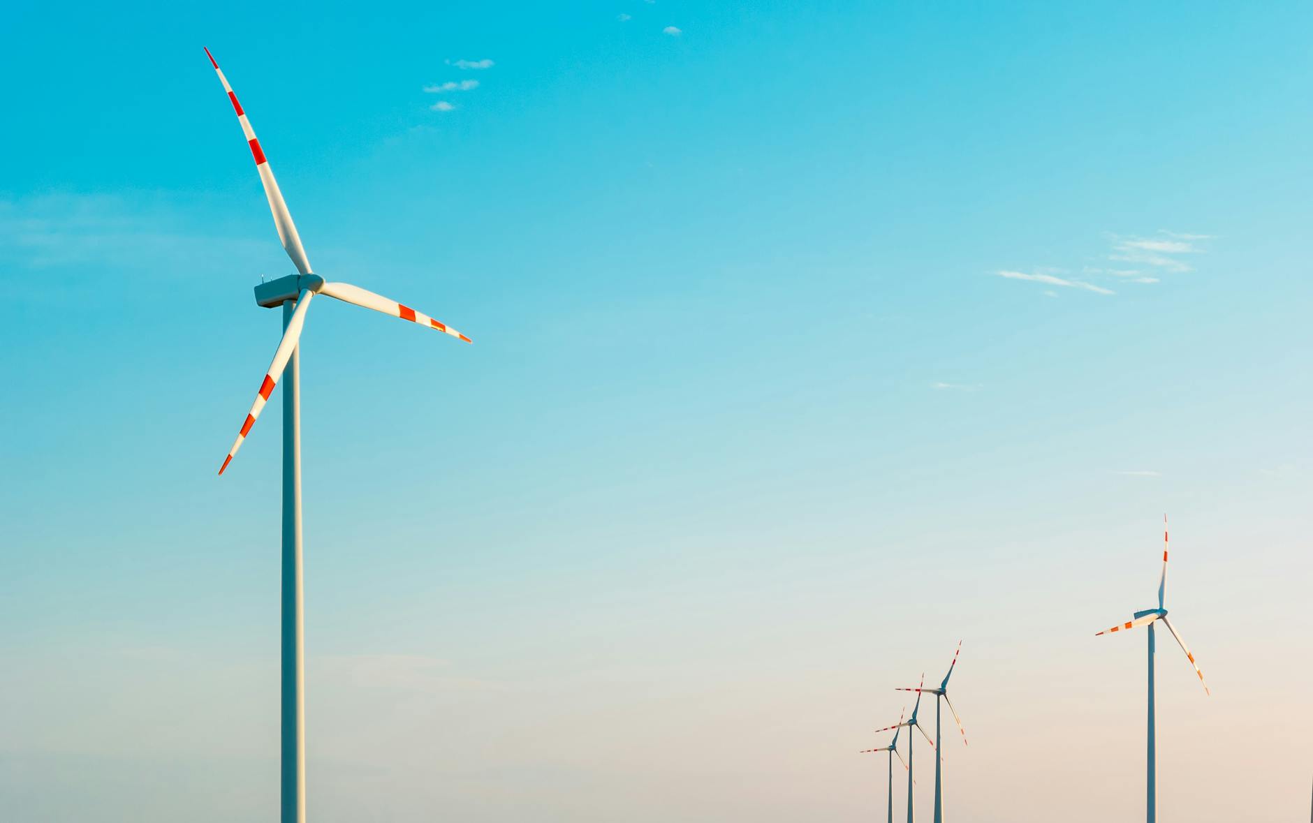 Transformación organizacional hacia la sostenibilidad